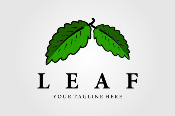 Download Leaf Vintage Logo Vector Illustration - Premium Resources
